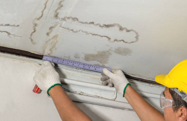 Reliable Flood Cleanup contractor in Memphis, TX by Water Damage Irwin